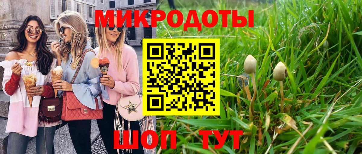 Псилоцибиновые грибы Psilocybine cubensis Артём